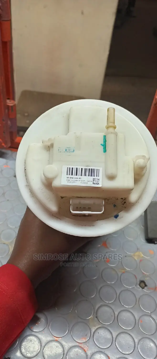 Peugeot Fuel Pump.