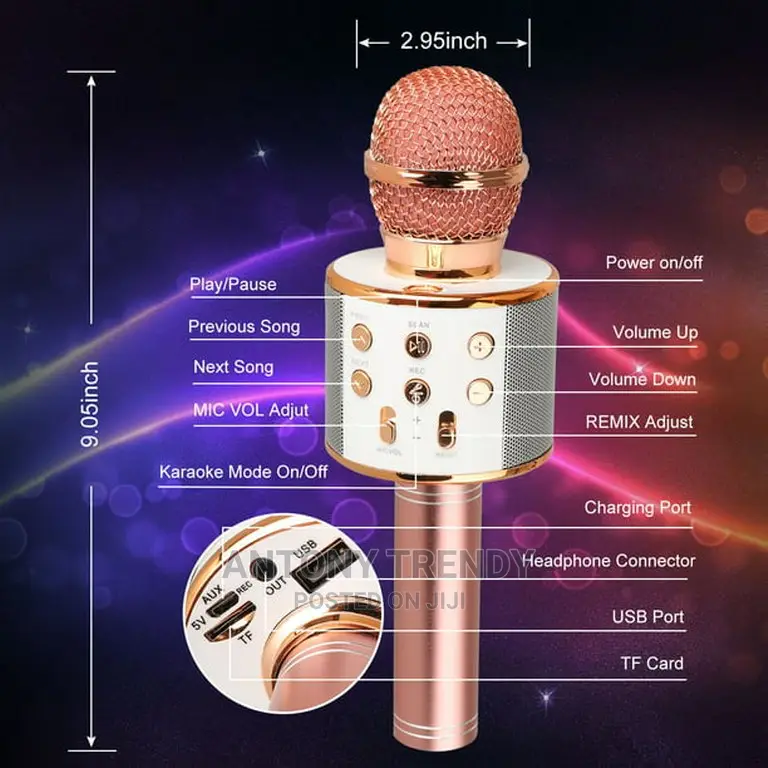 Wireless Bluetooth Karaoke Microphone,3 in 1 Portable