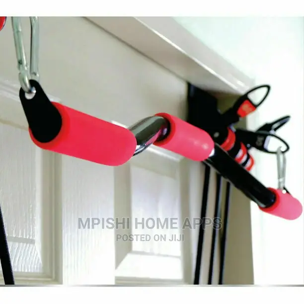 Weider X-Factor Door Gym