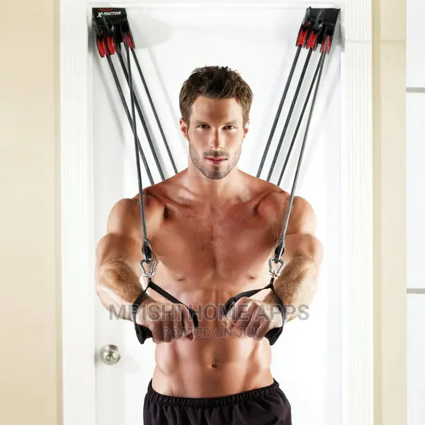 Weider X-Factor Door Gym