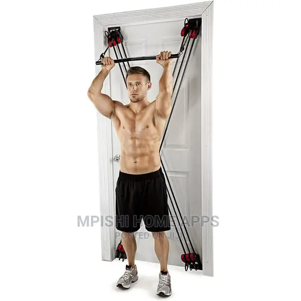 Weider X-Factor Door Gym