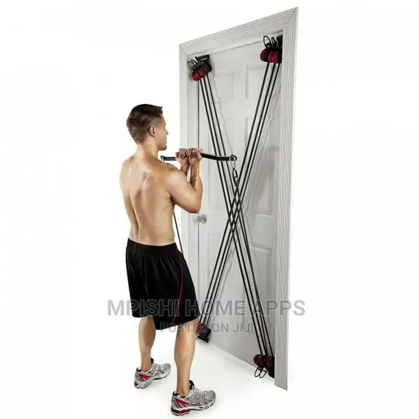 Weider X-Factor Door Gym