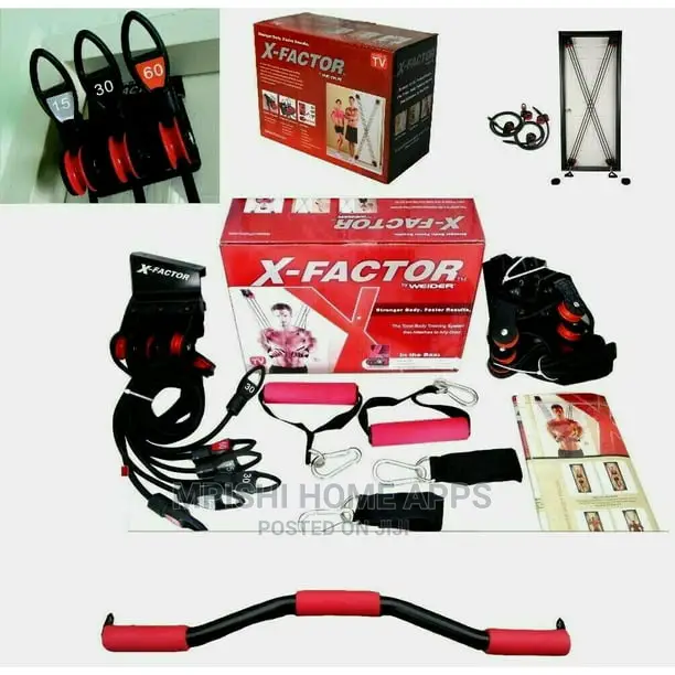 Weider X-Factor Door Gym