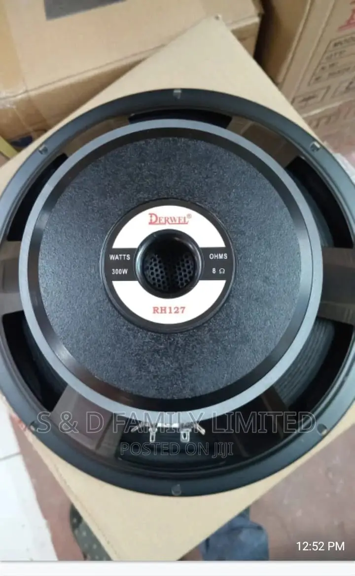 Derwel 12 Inch Naked Speakers Rh127