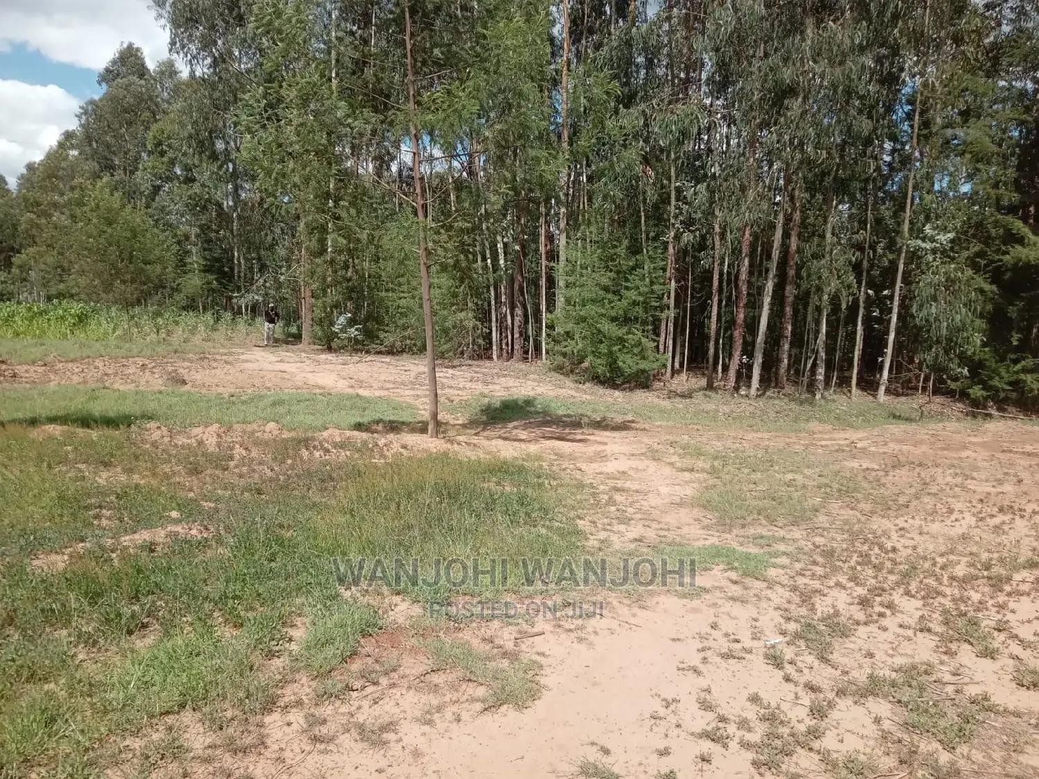 Prime Plots in Oljoroorok, Nyandarua County