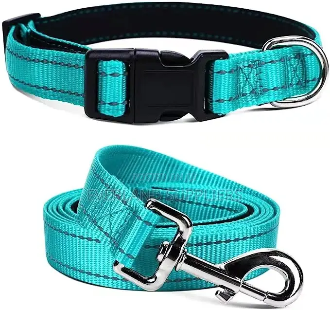 Flat Padded Leash and Collar