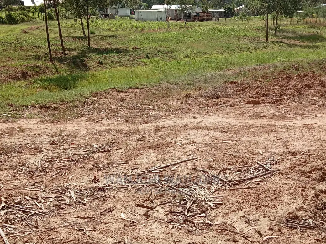 Grab a Prime Plot in Nyandarua