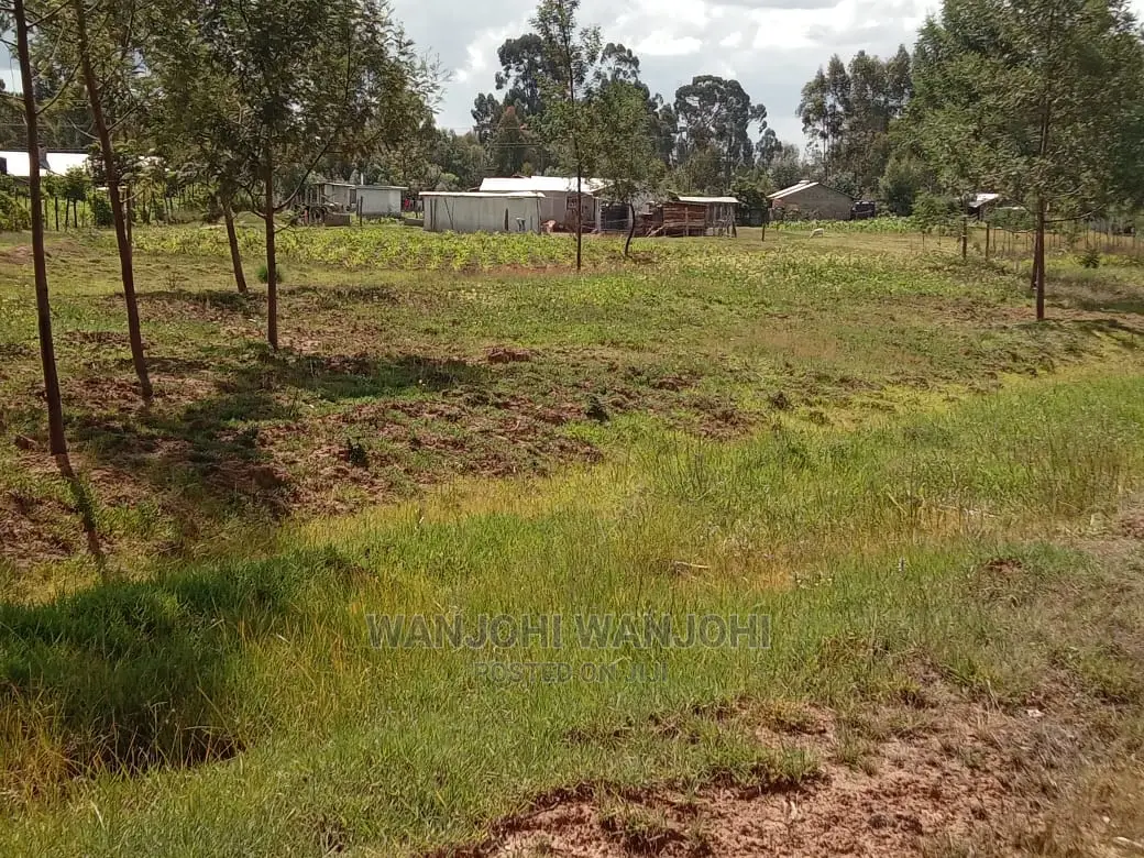Grab a Prime Plot in Nyandarua