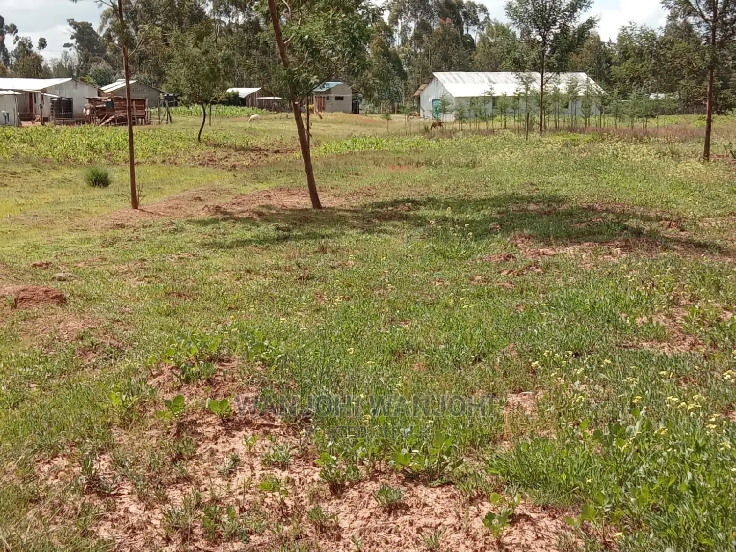 50x100 Plots Near Tarmac in Nyandarua County