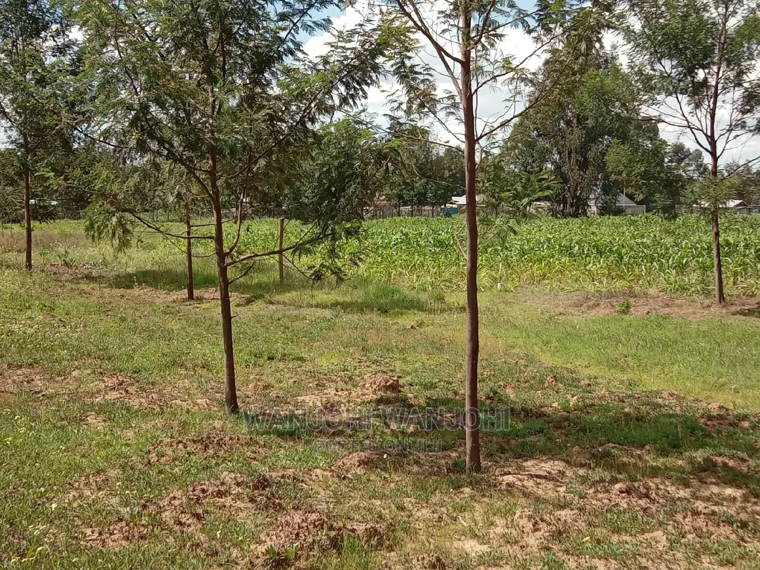 50x100 Plots Near Tarmac in Nyandarua County