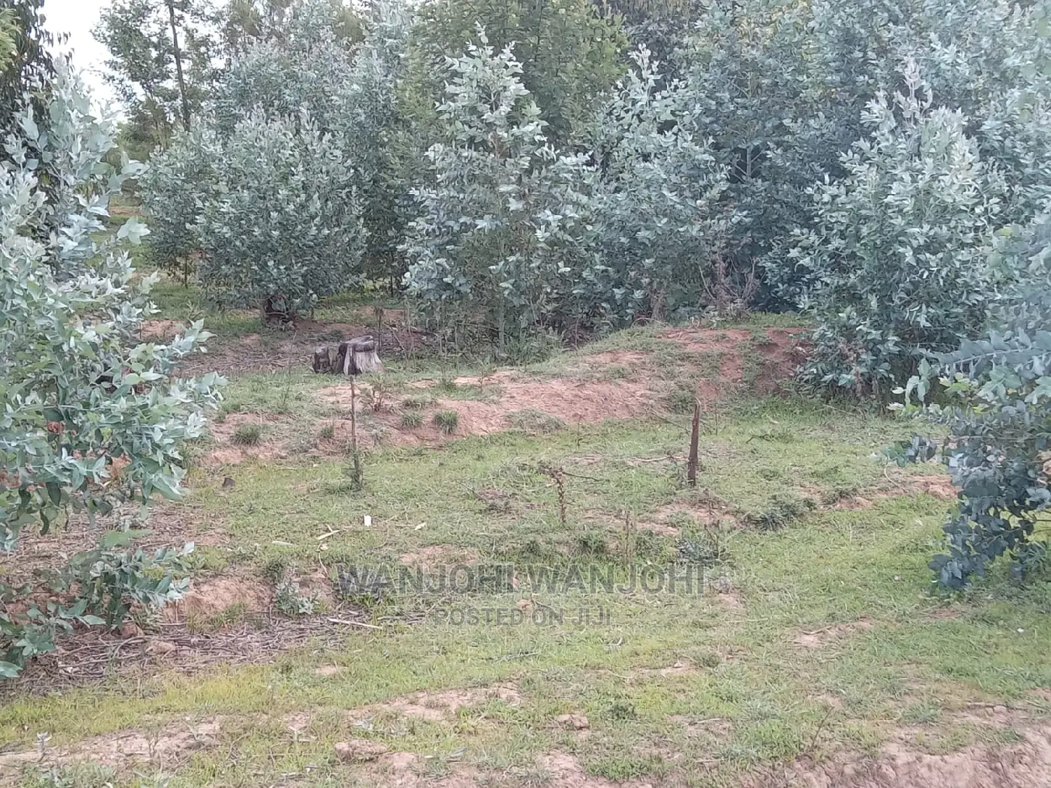 Decent Properties in Nyandarua (50×100)