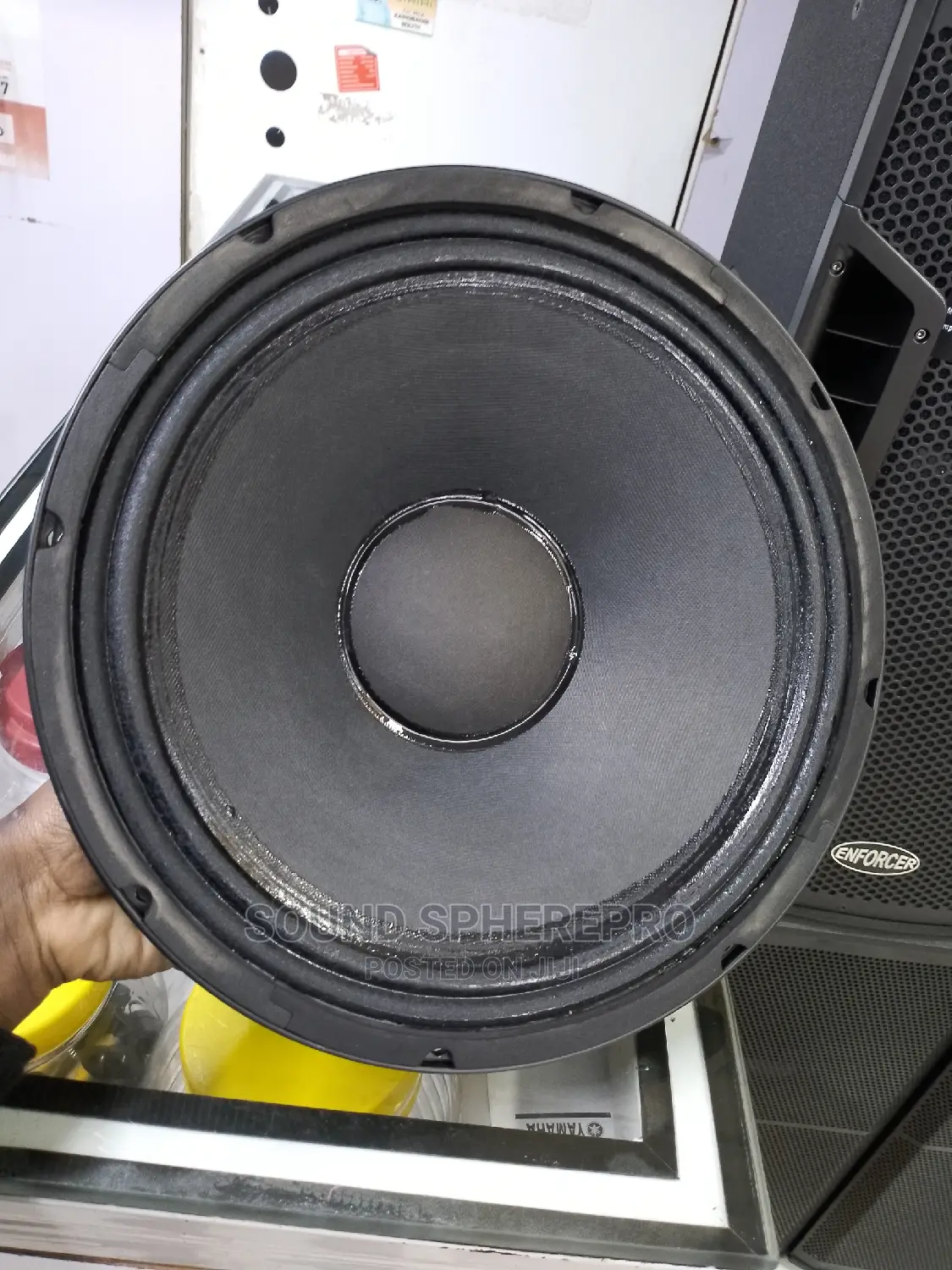 BM 12az-20 Naked Speaker