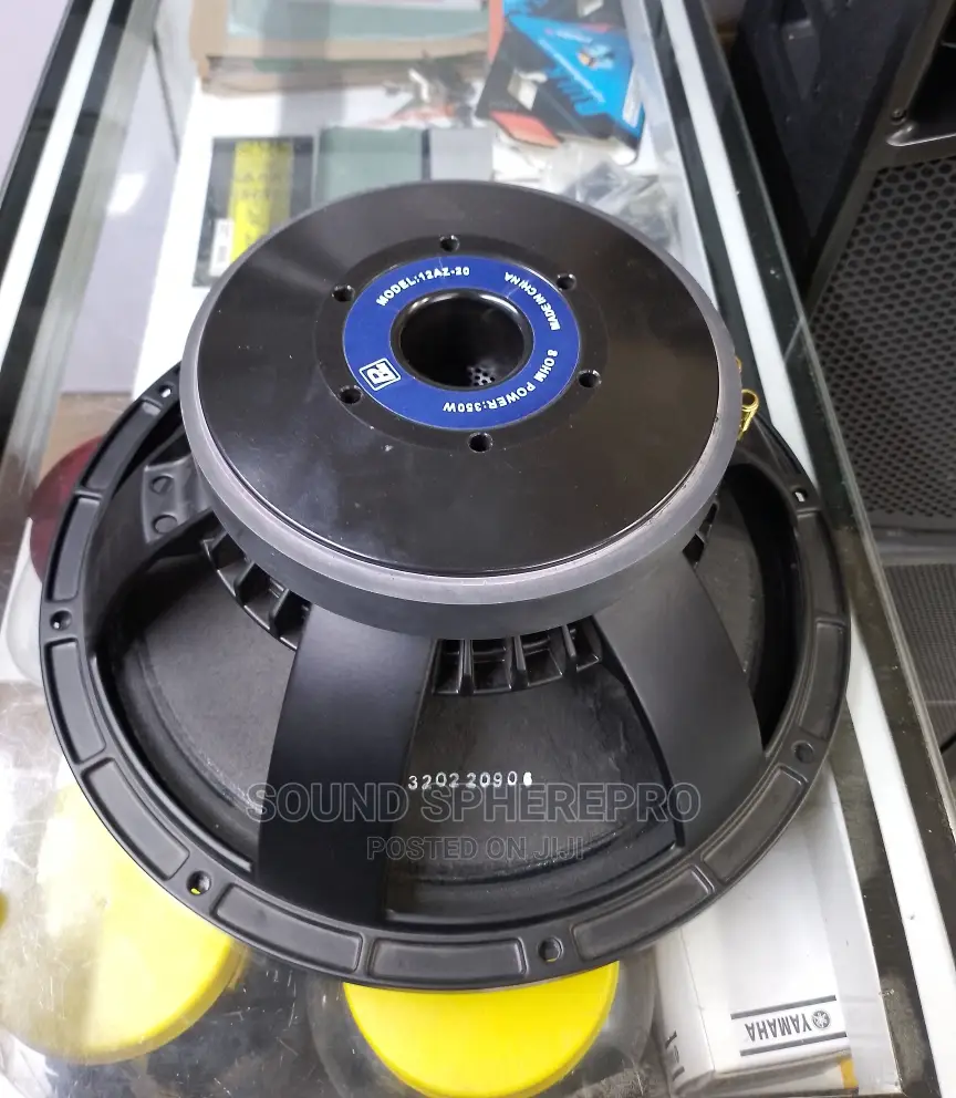 BM 12az-20 Naked Speaker