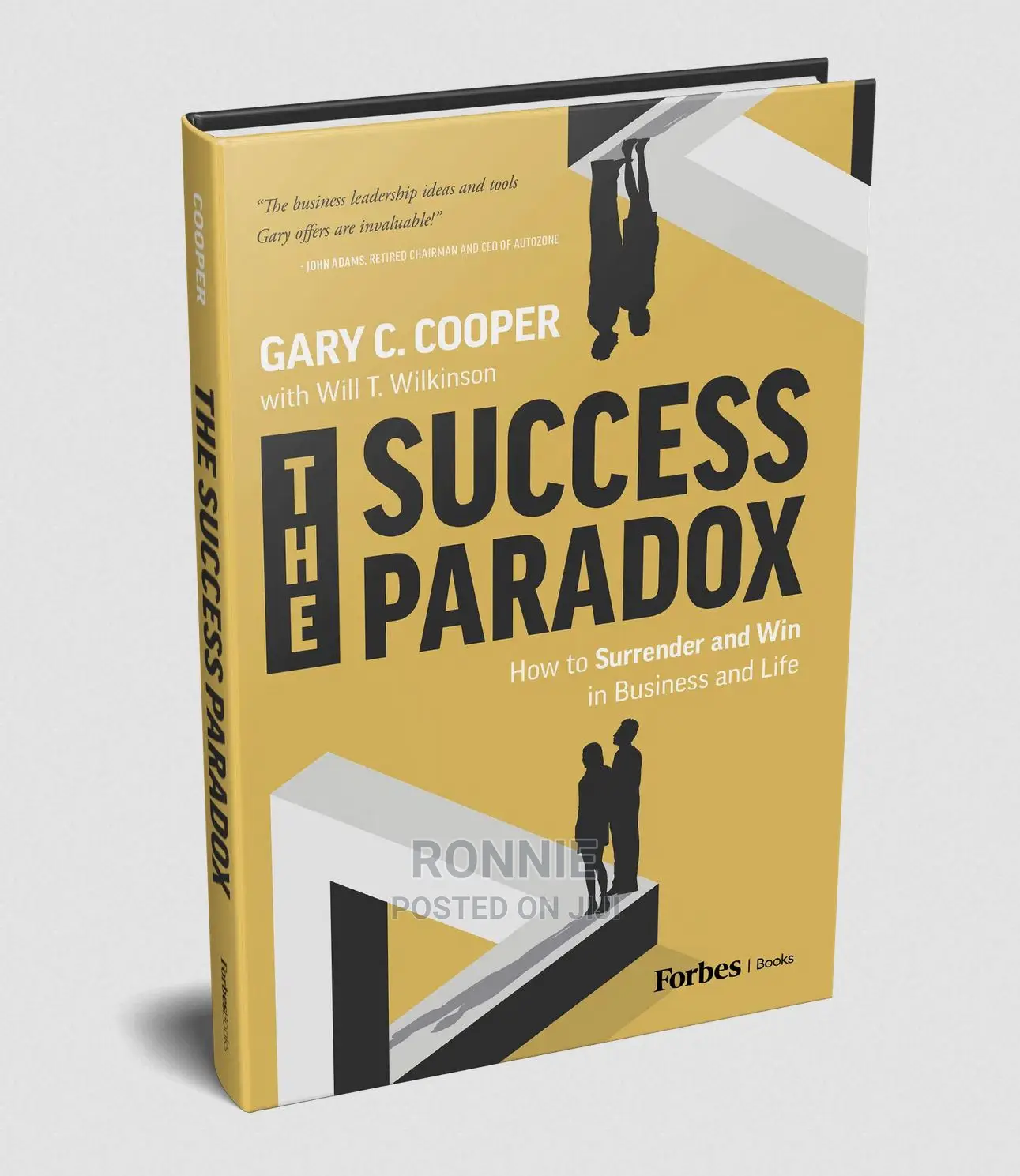 The Success Paradox Book By Gary C. Cooper