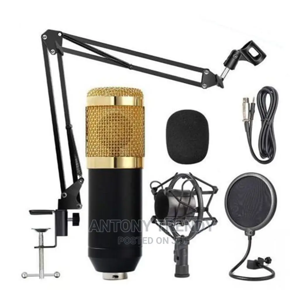 BM86 Volume Adjustable Reverberation Without Soundcard