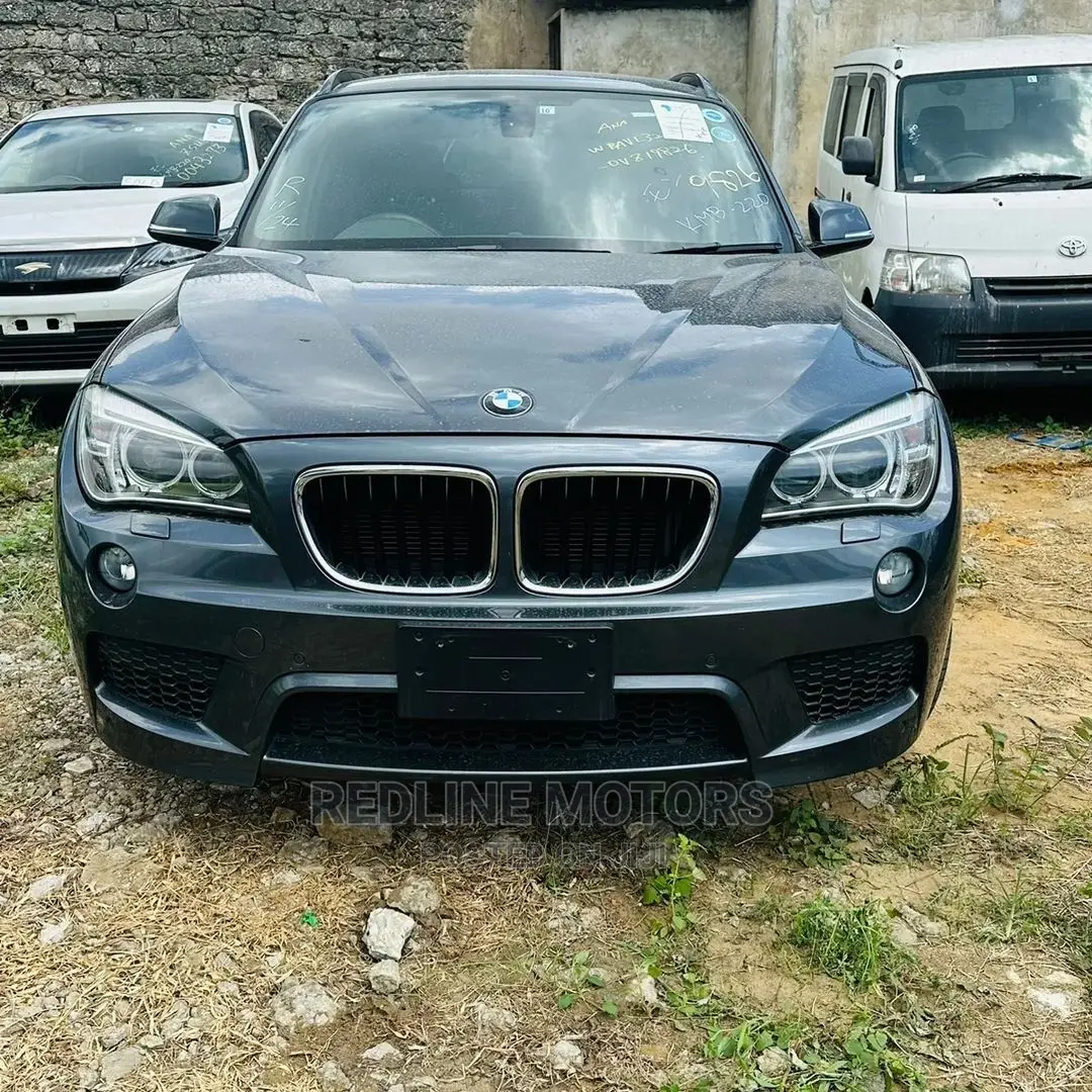 BMW X1 2016 Gray
