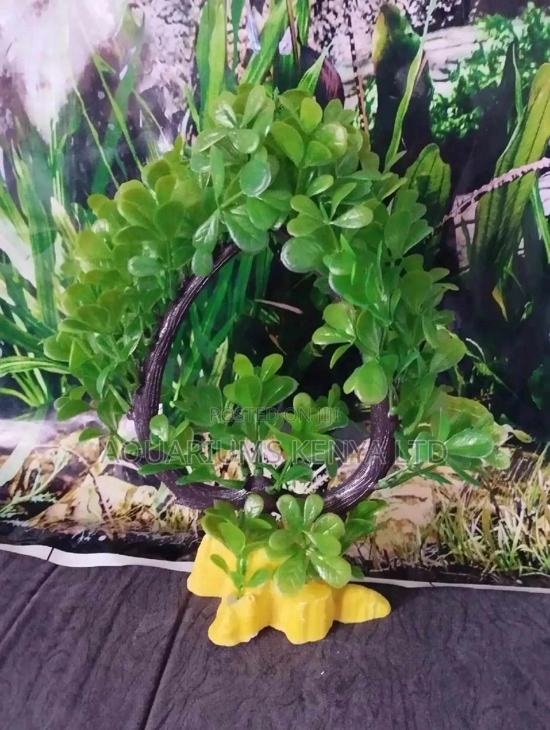 Colourful, Plastic Plants for Aquarium