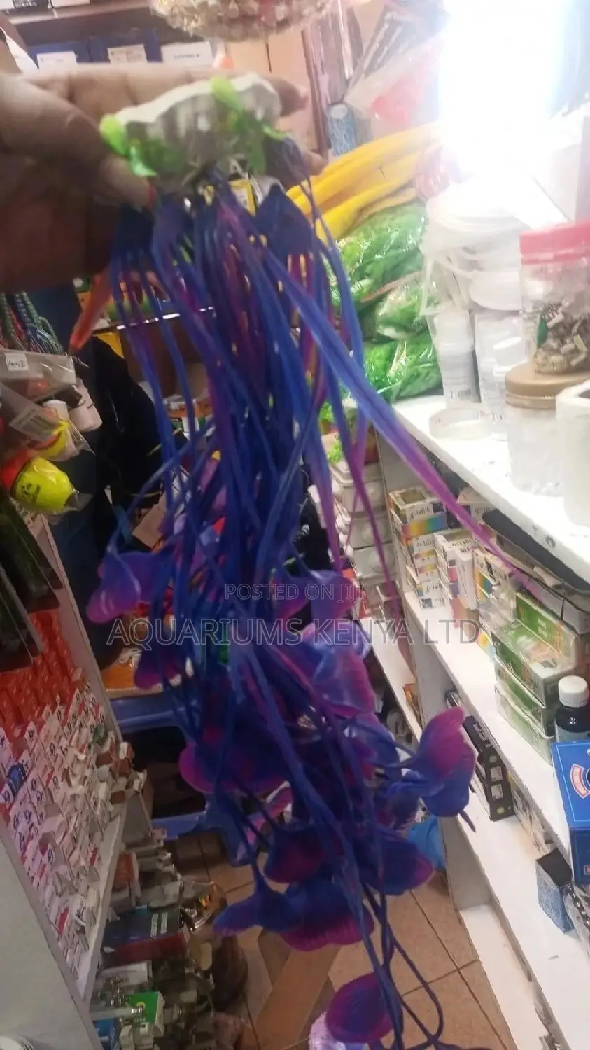 Purple Plastic Aquarium Plant, Plants