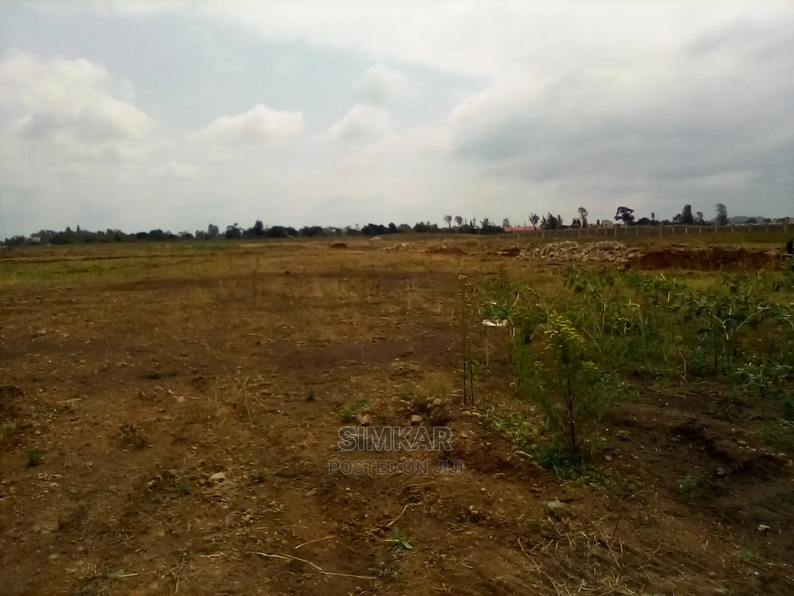 1/4-Acre Plots for Sale in Juja - Kenyatta Road