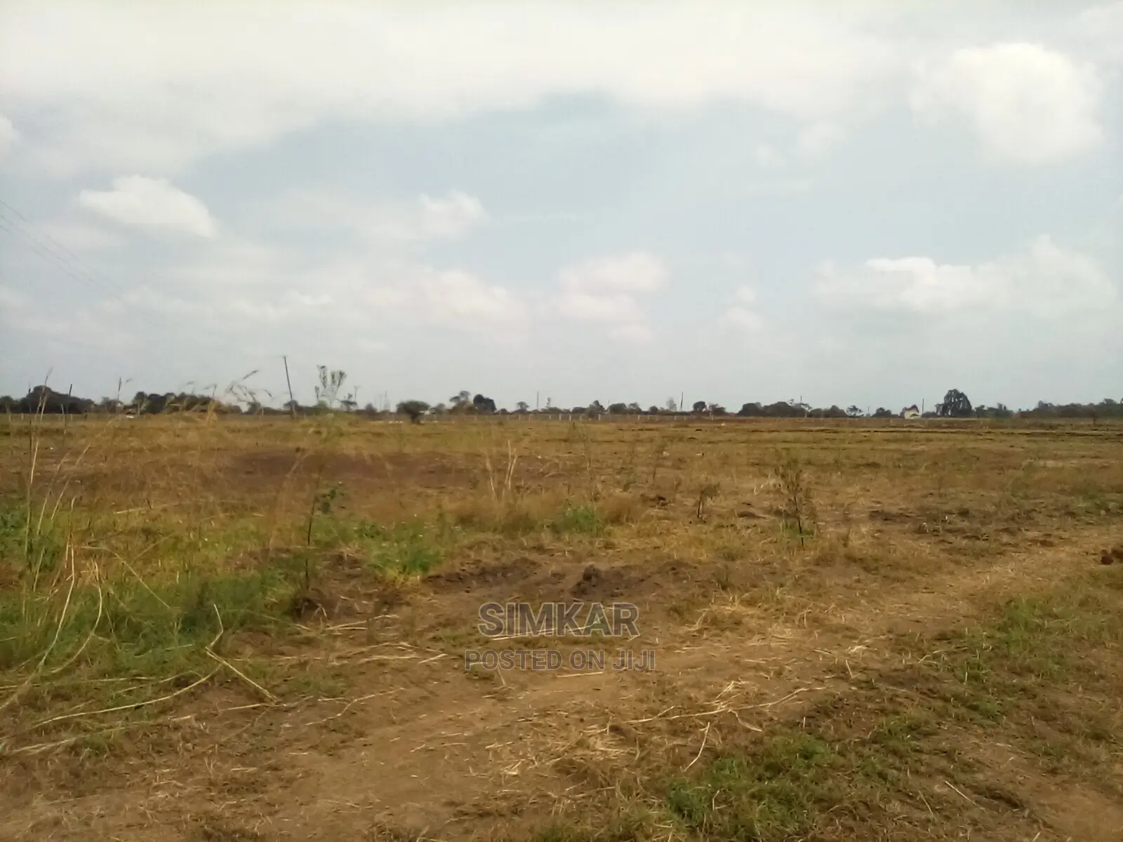 1/4-Acre Plots for Sale in Juja - Kenyatta Road