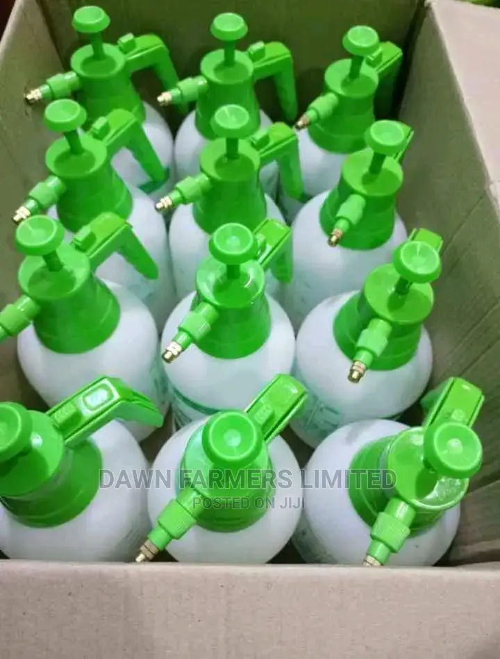 Hand Sprayer 2l