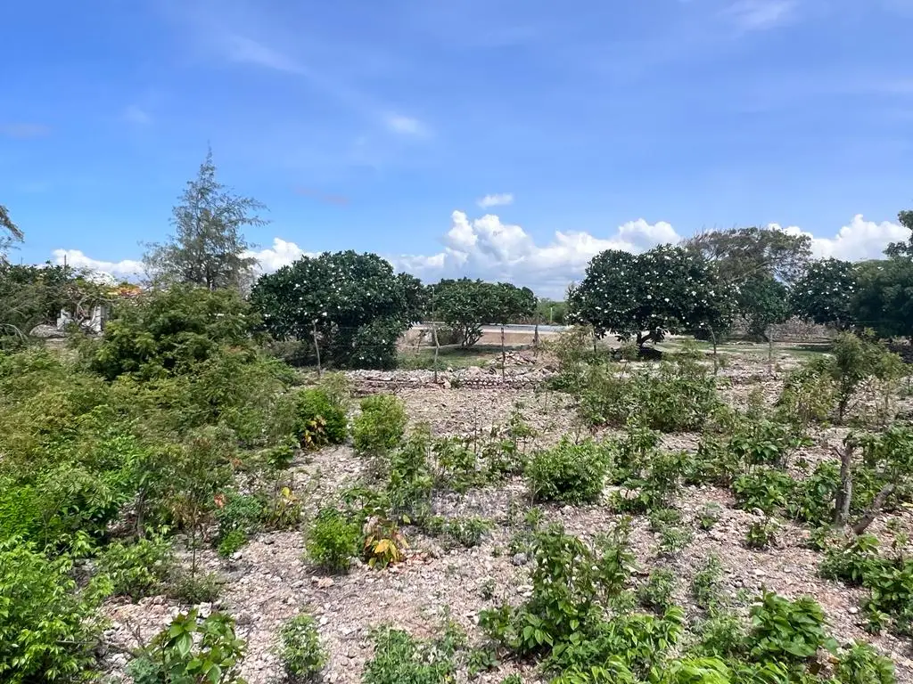 Affordable Beach Plots For Sale - Malindi