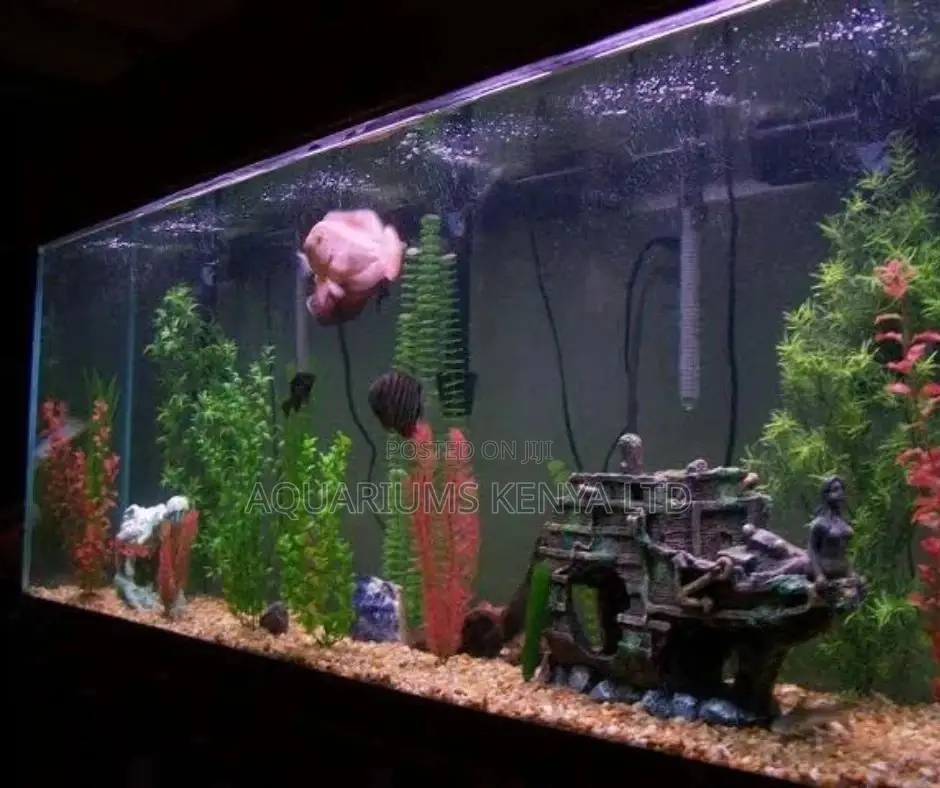 Big Custom Made Fish Tanks , Coustom Aquariums