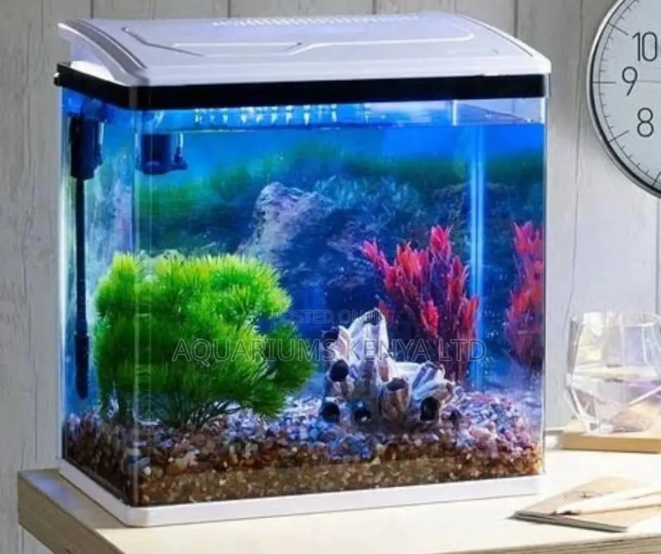 Imported Clear Nano Aquarium , Curved Fish Tank