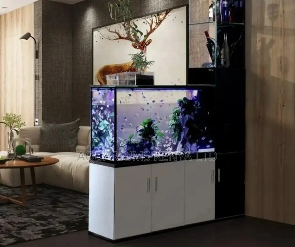 Room Divider Aquarium