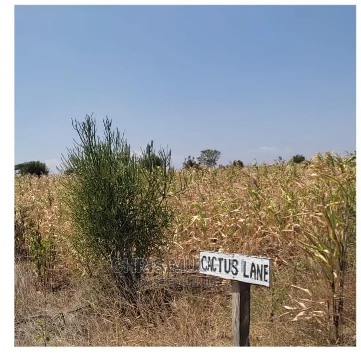 Prime 1/4 Acre Plot of Land for Sale in Kabati, Muranga
