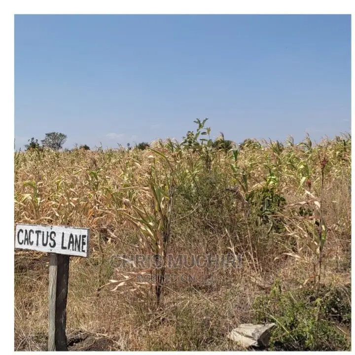 Prime 1/4 Acre Plot of Land for Sale in Kabati, Muranga