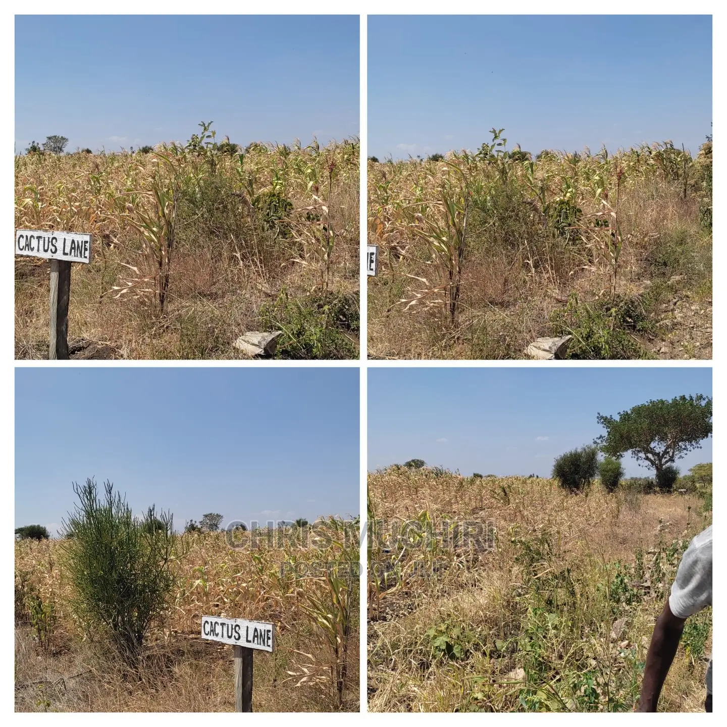 Prime 1/4 Acre Plot of Land for Sale in Kabati, Muranga