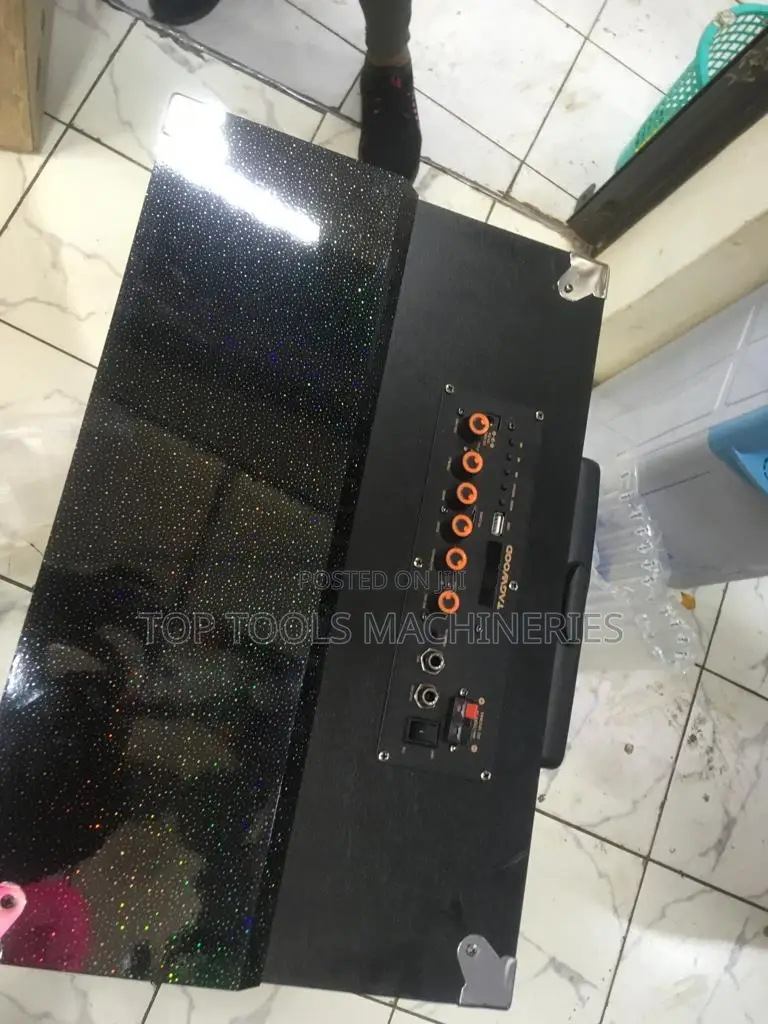 Brand New Tagwood 15 Inch Portable Speaker