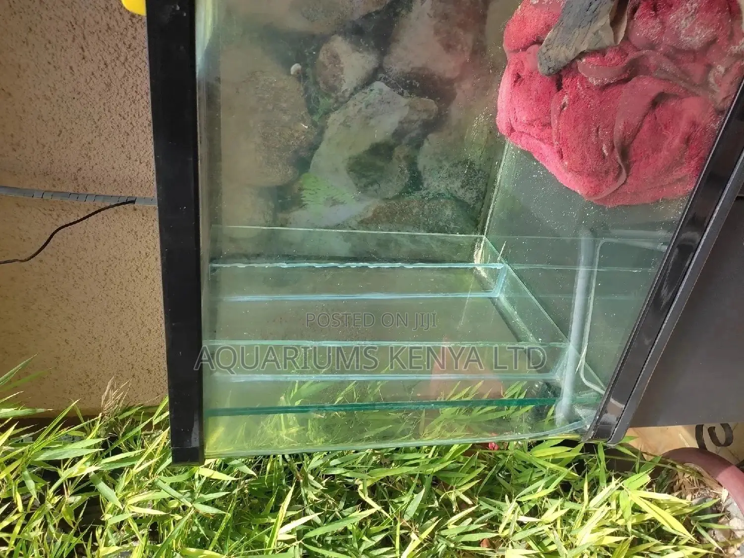 Imported Aquarium Tanks Repair Services