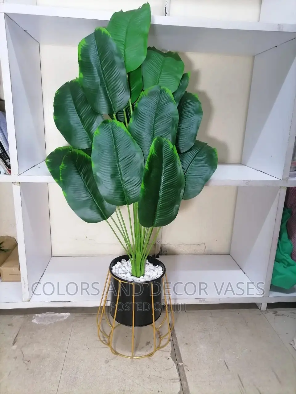 Banana Plant And Vase