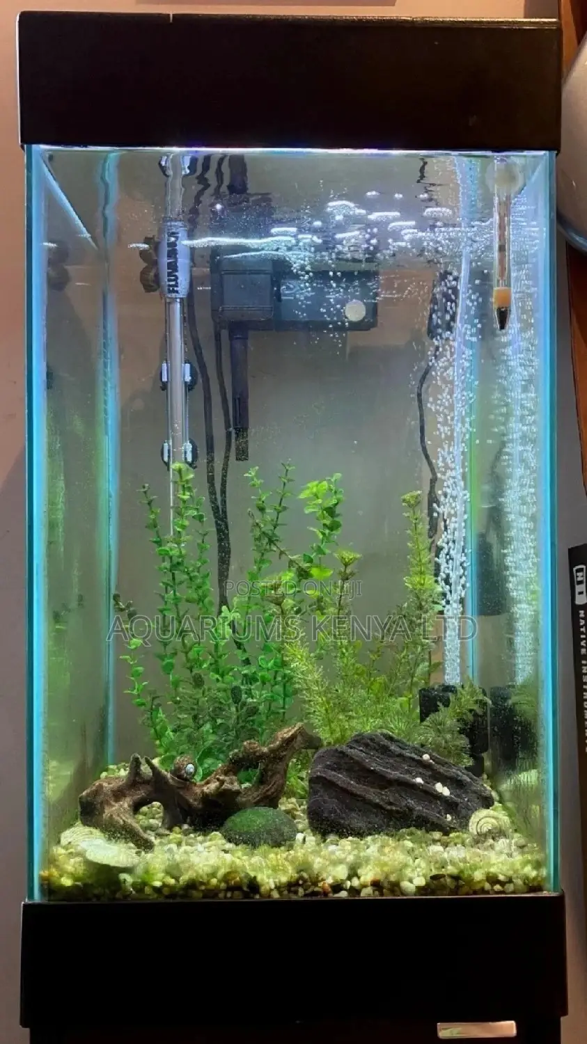 Small Fish Aquarium