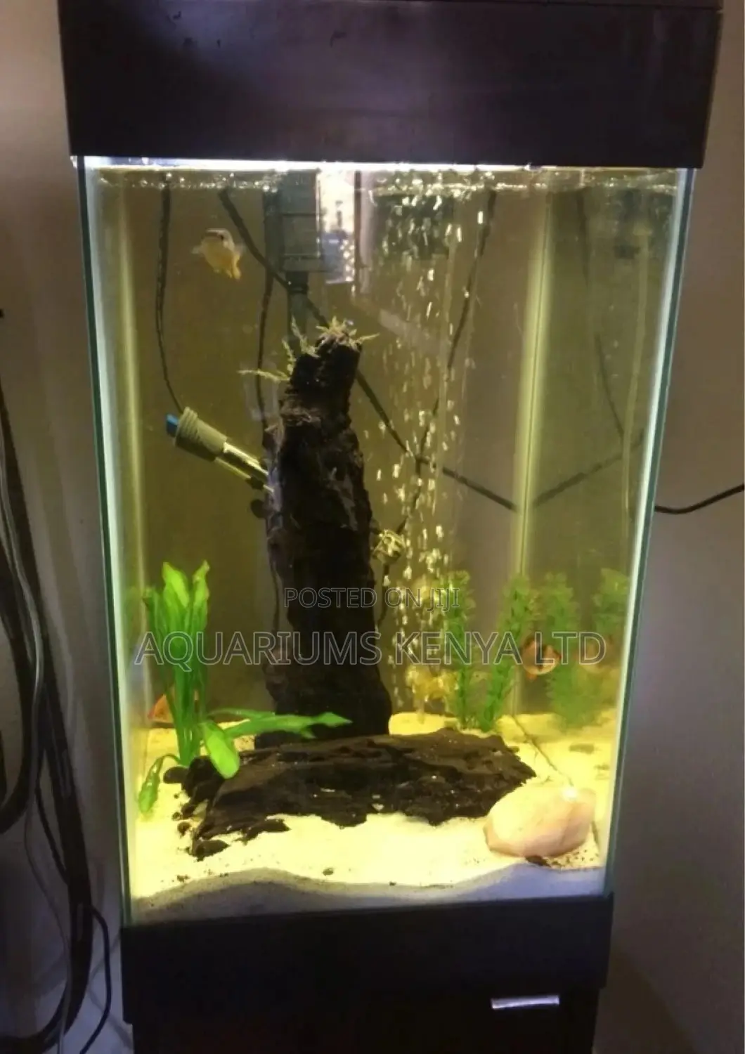 Mini Fish Aquarium