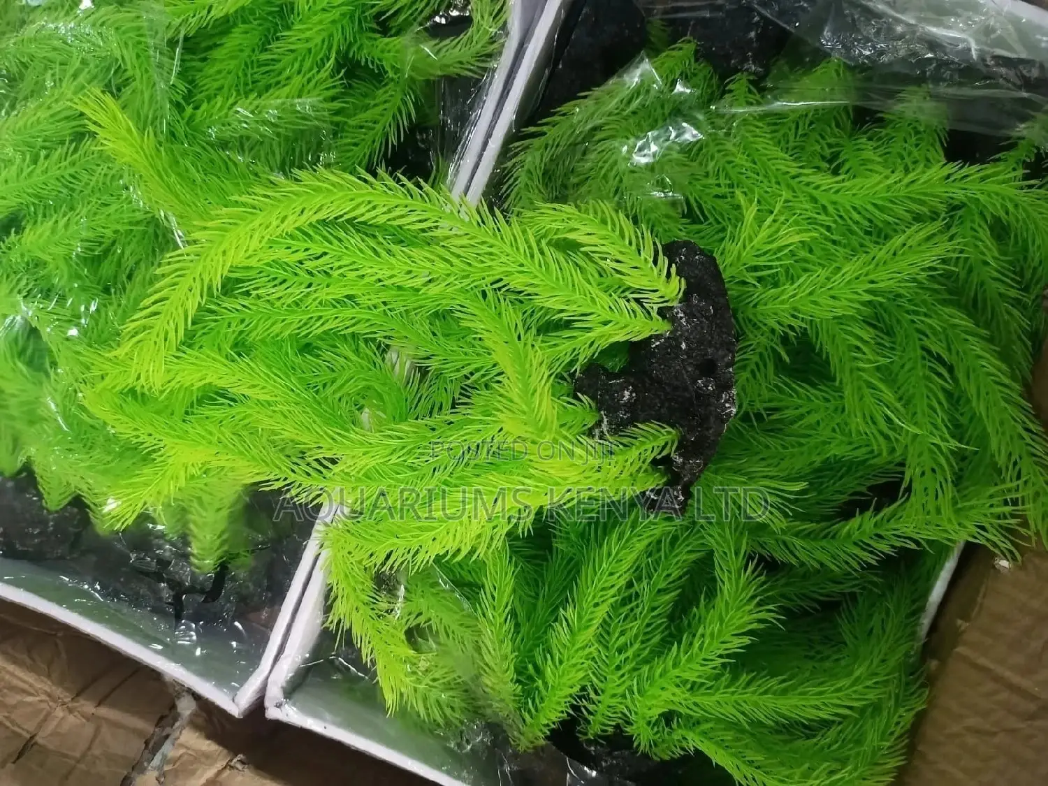 Bushy , Hornwort Plastic Aquarium Plants