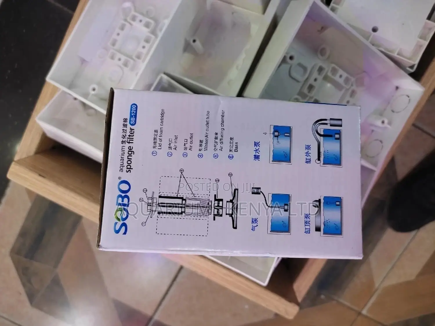 Best Bio Filtration for Aquarium