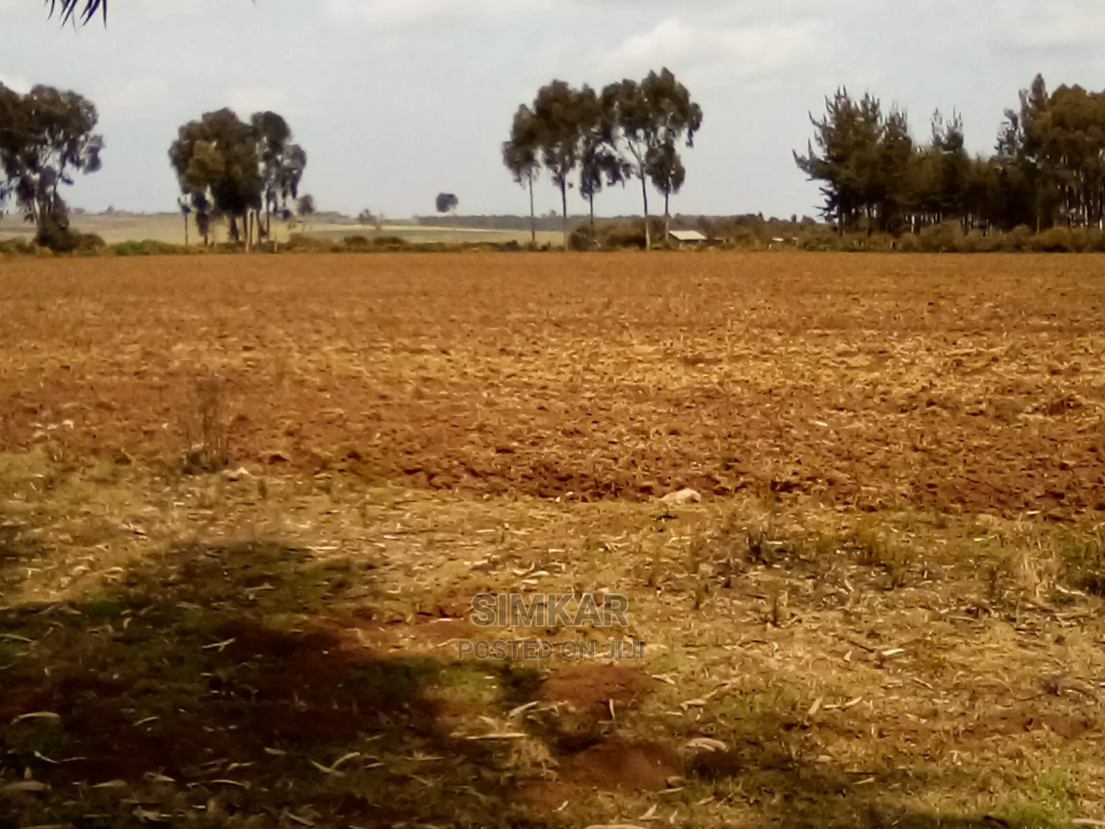 41 Acres of Land for Sale in Timau