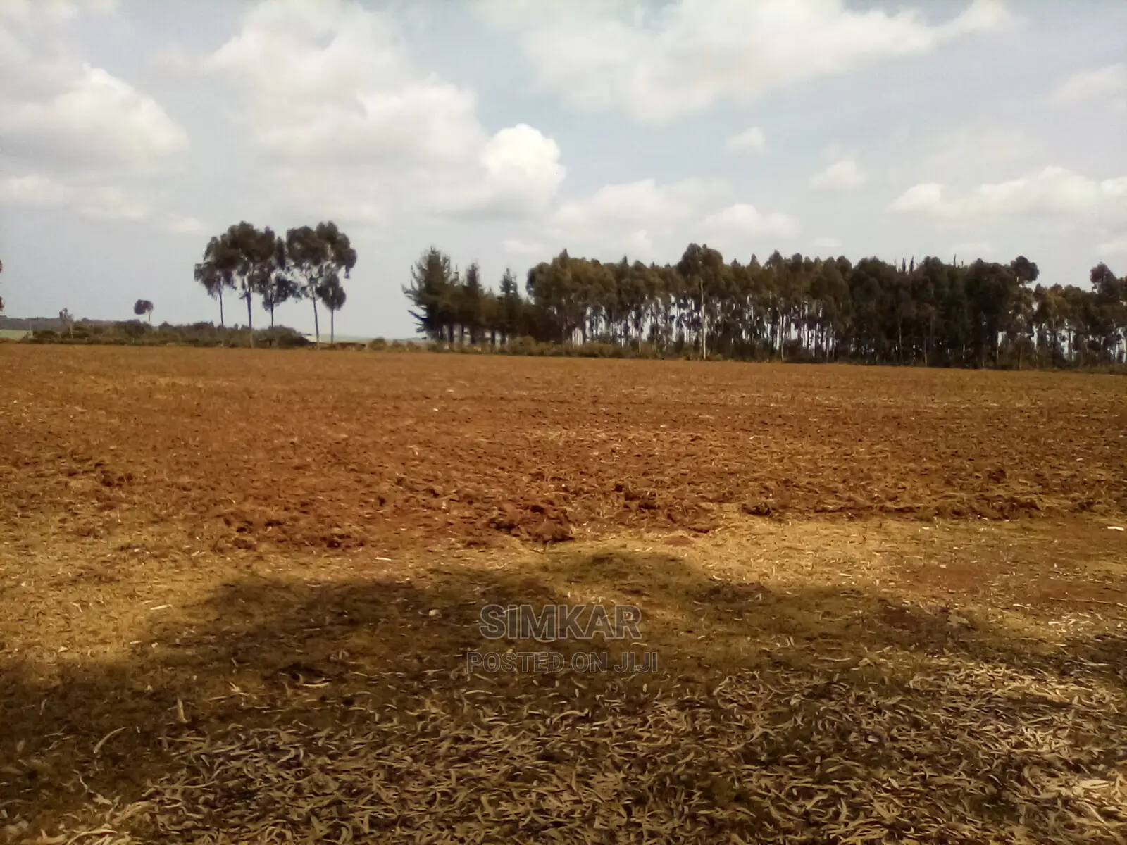 41 Acres of Land for Sale in Timau