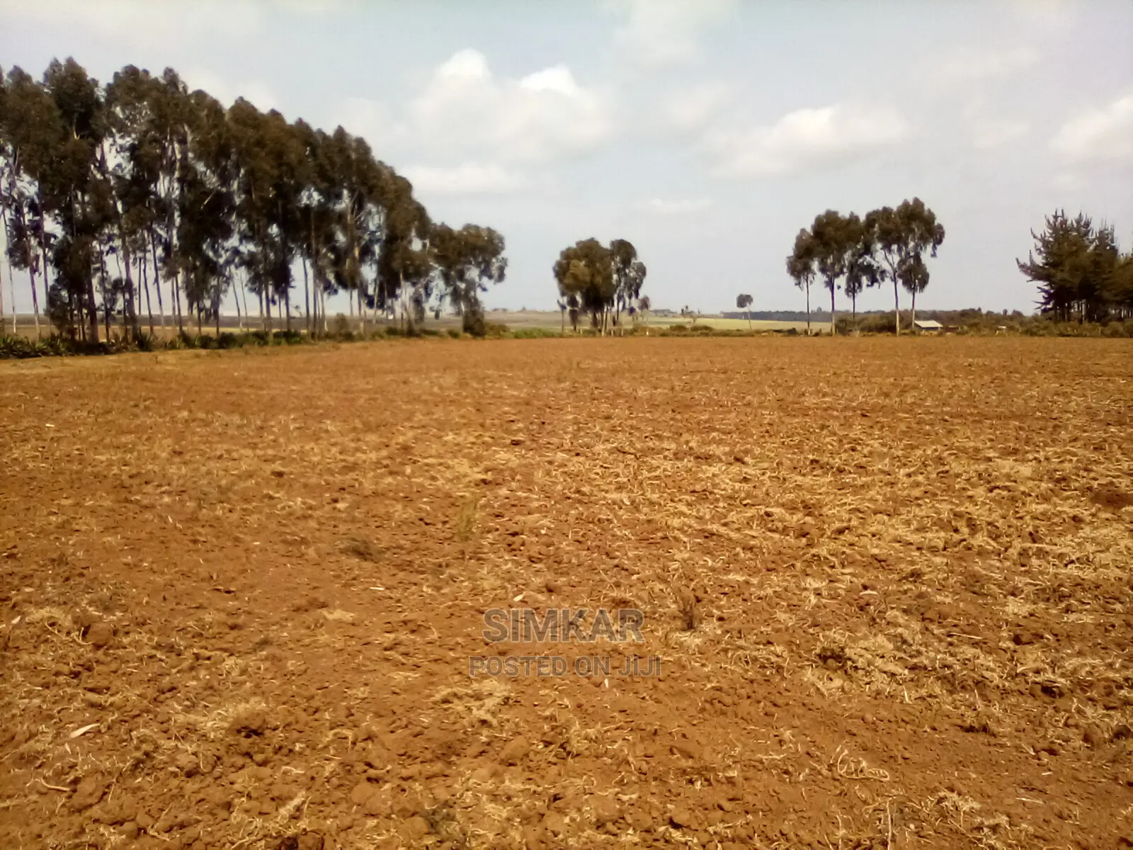 41 Acres of Land for Sale in Timau