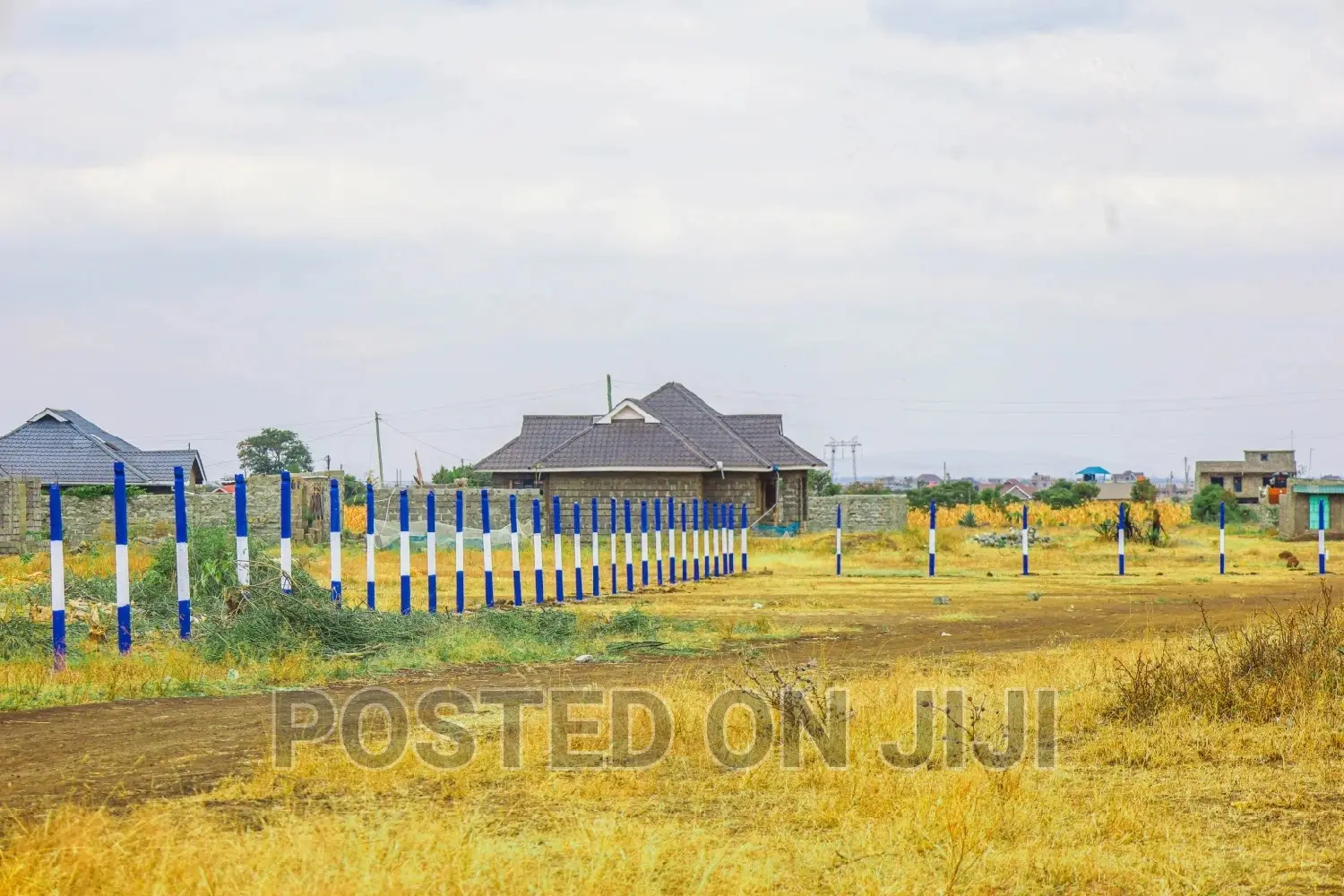 Plots in Murera^JO