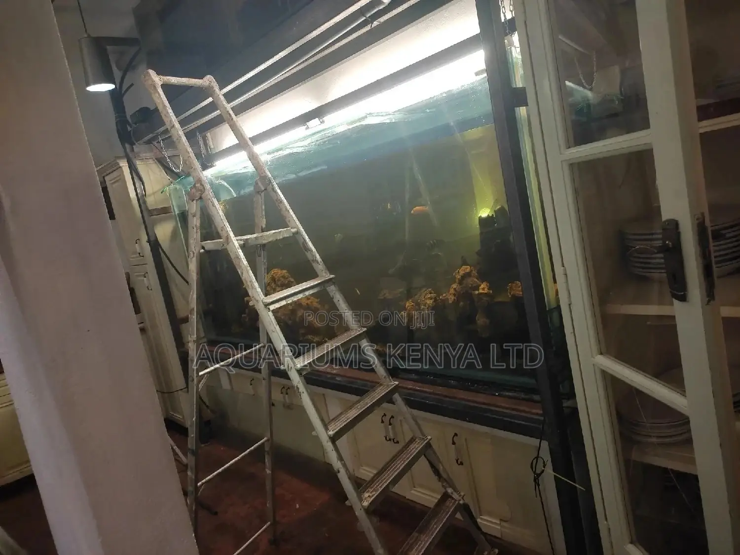 Fish Aquarium Maintainance Pet Services