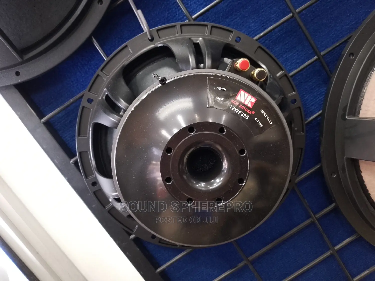 12 Inch Naked Speaker Nr 12WF335