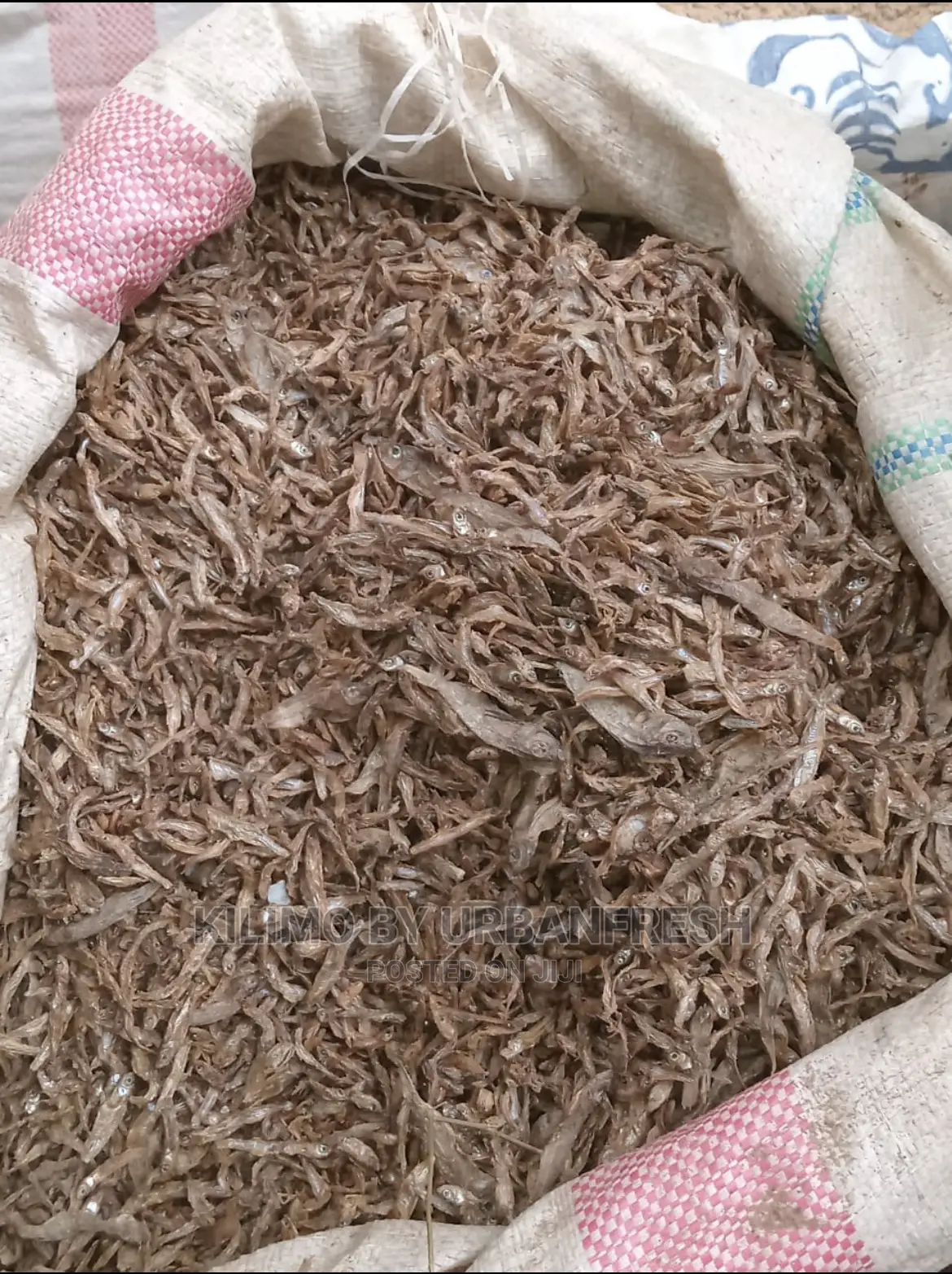 Omena Small Big Sizes Available Packed 10 Kgs.