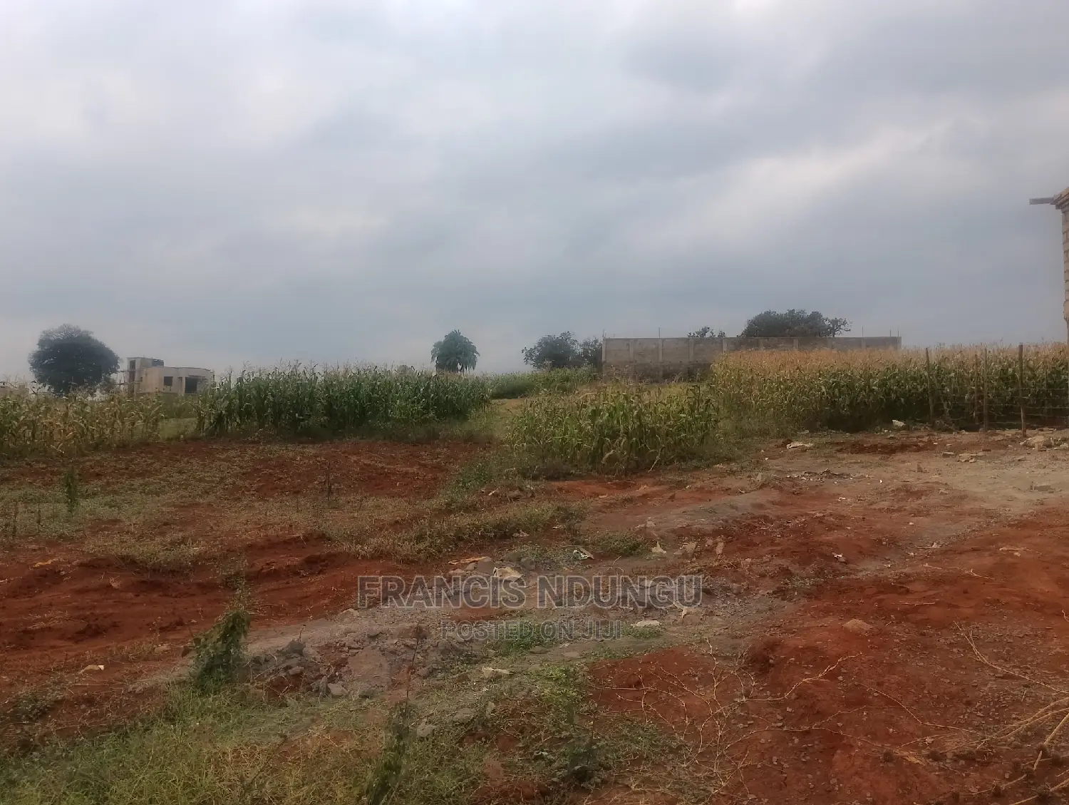 Kiambu Plots for Sale Kiora Estate Tinganga