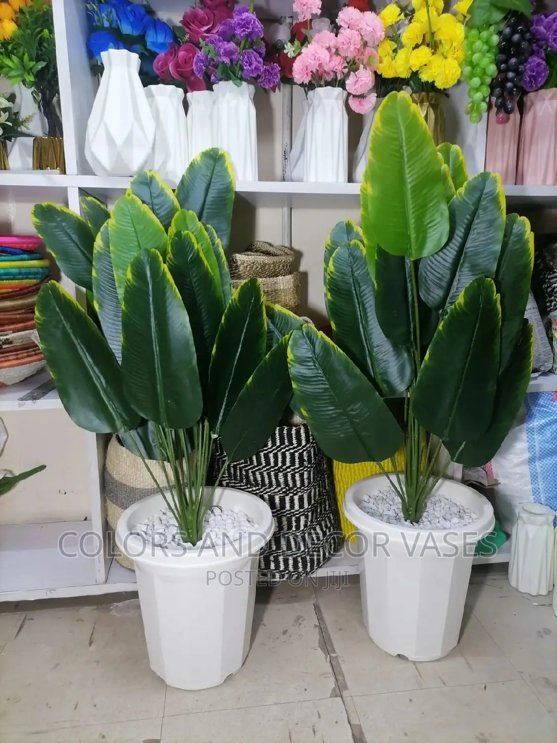 Banana Plant Basket on Offer