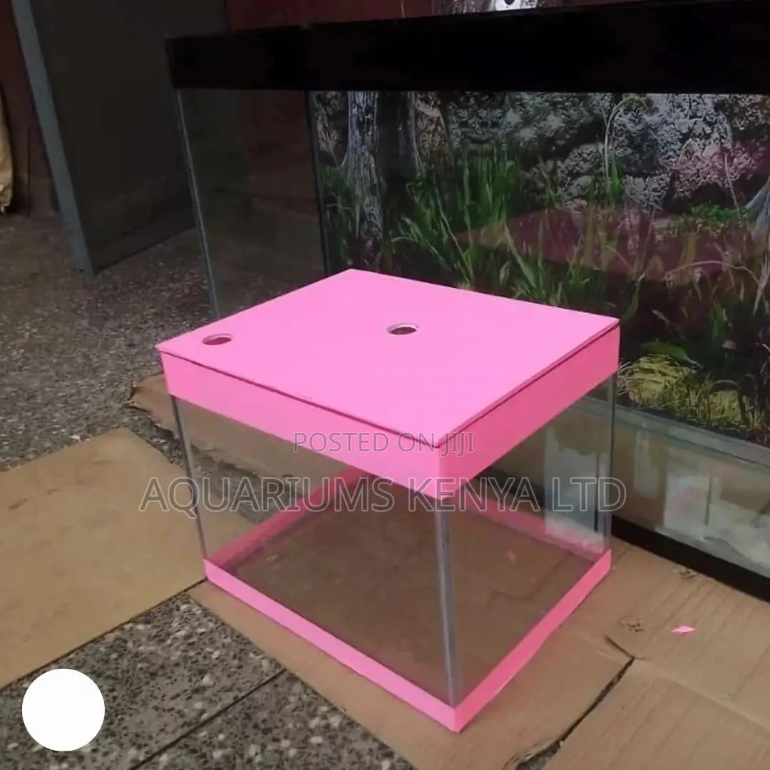 Pink Aquarium, Presents for Women and Ladies