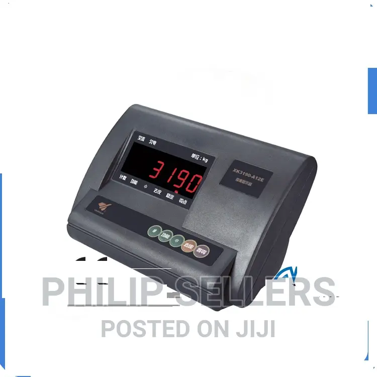 Electronic Weighing Indicator A12